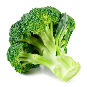 Sofra Ekmek Adet Yüksek Hacima